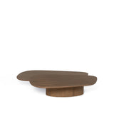 Mesa de Centro Orgânica
