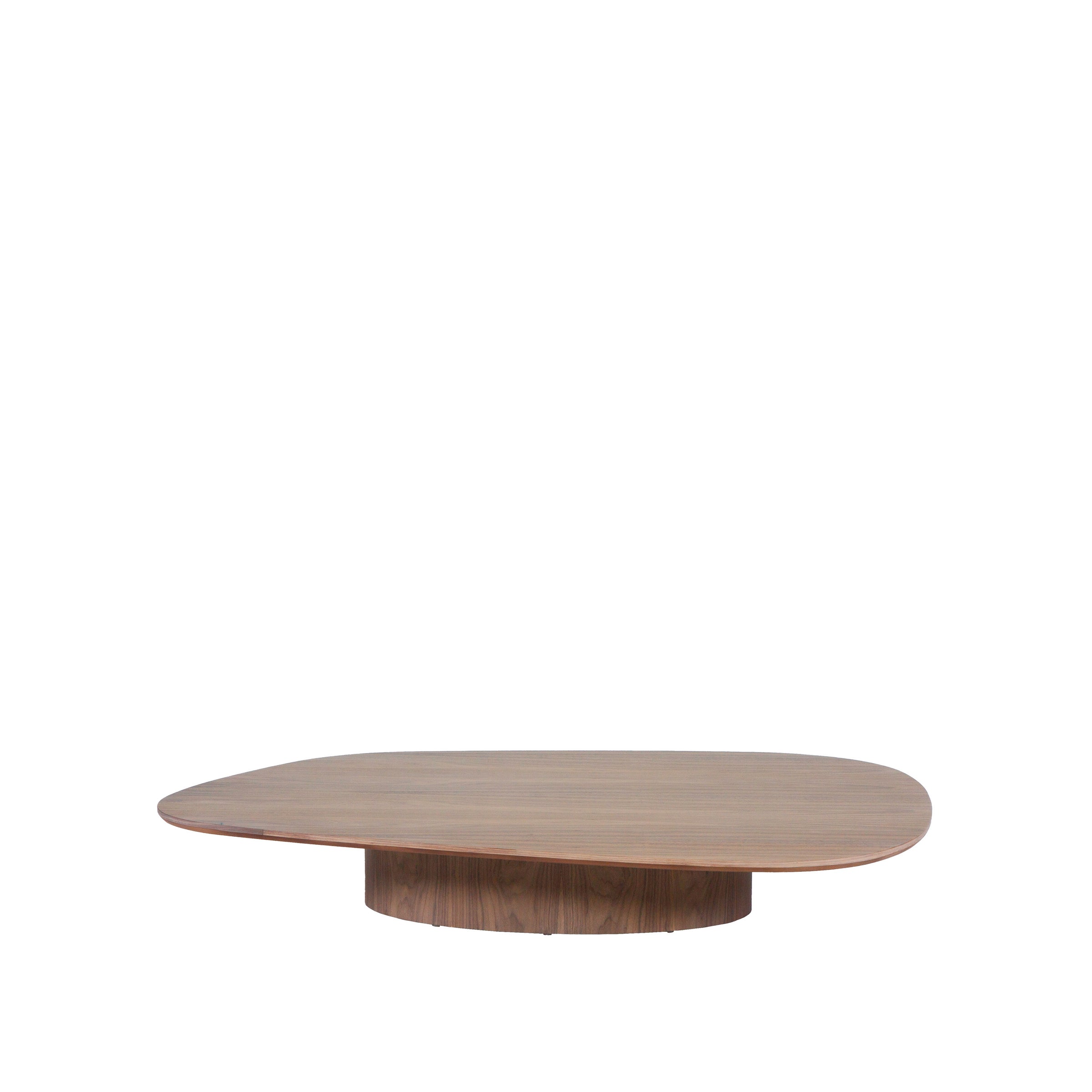 Mesa de Centro Orgânica (1)