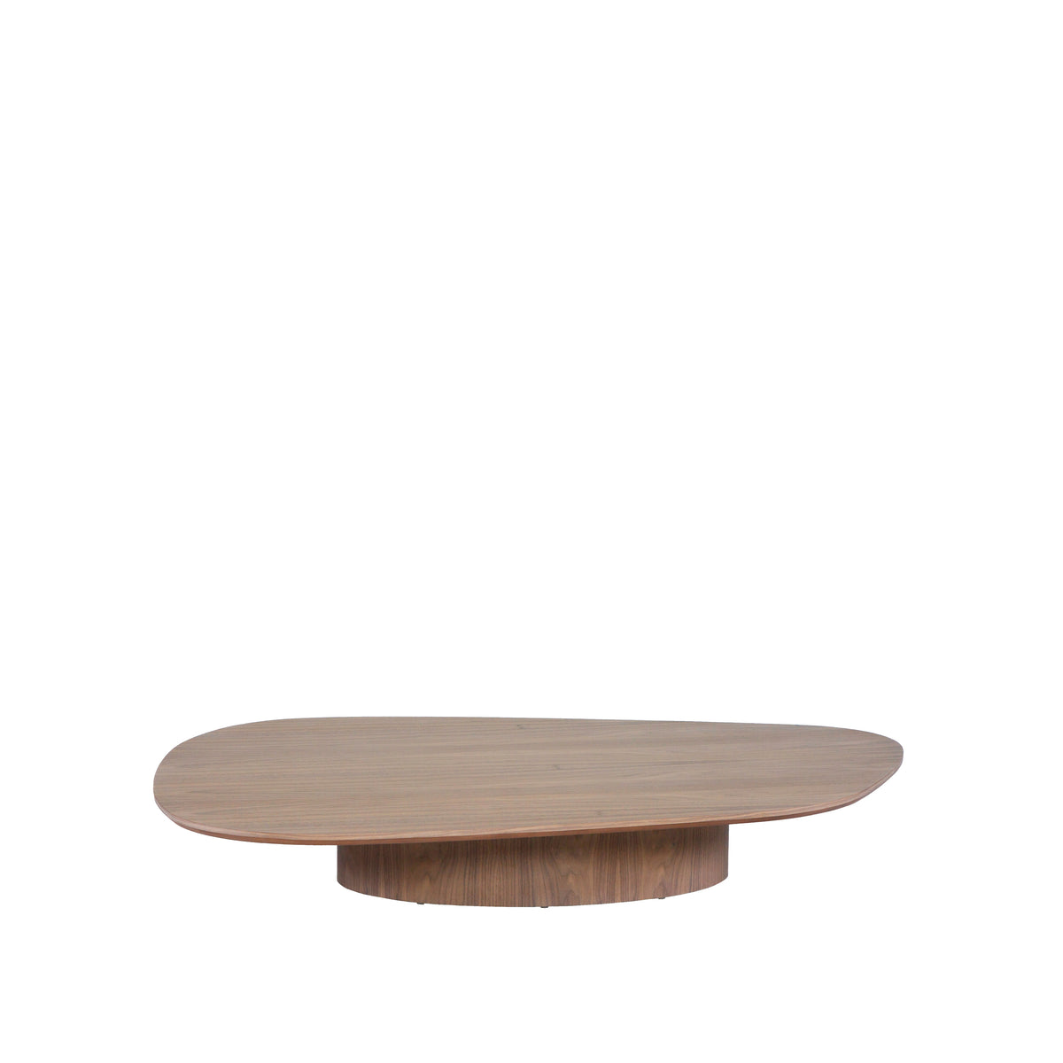 Organica Coffee Table (2)