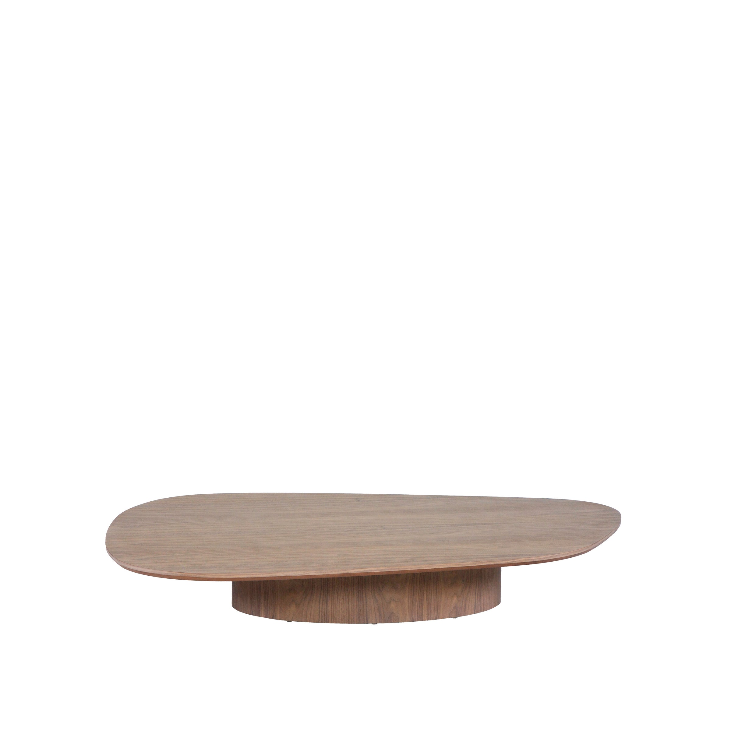 Mesa de Centro Orgânica (2)