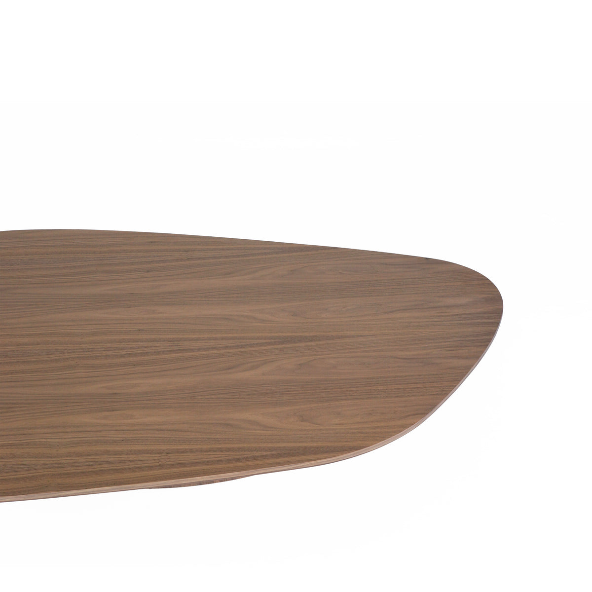 Organica Coffee Table (5)