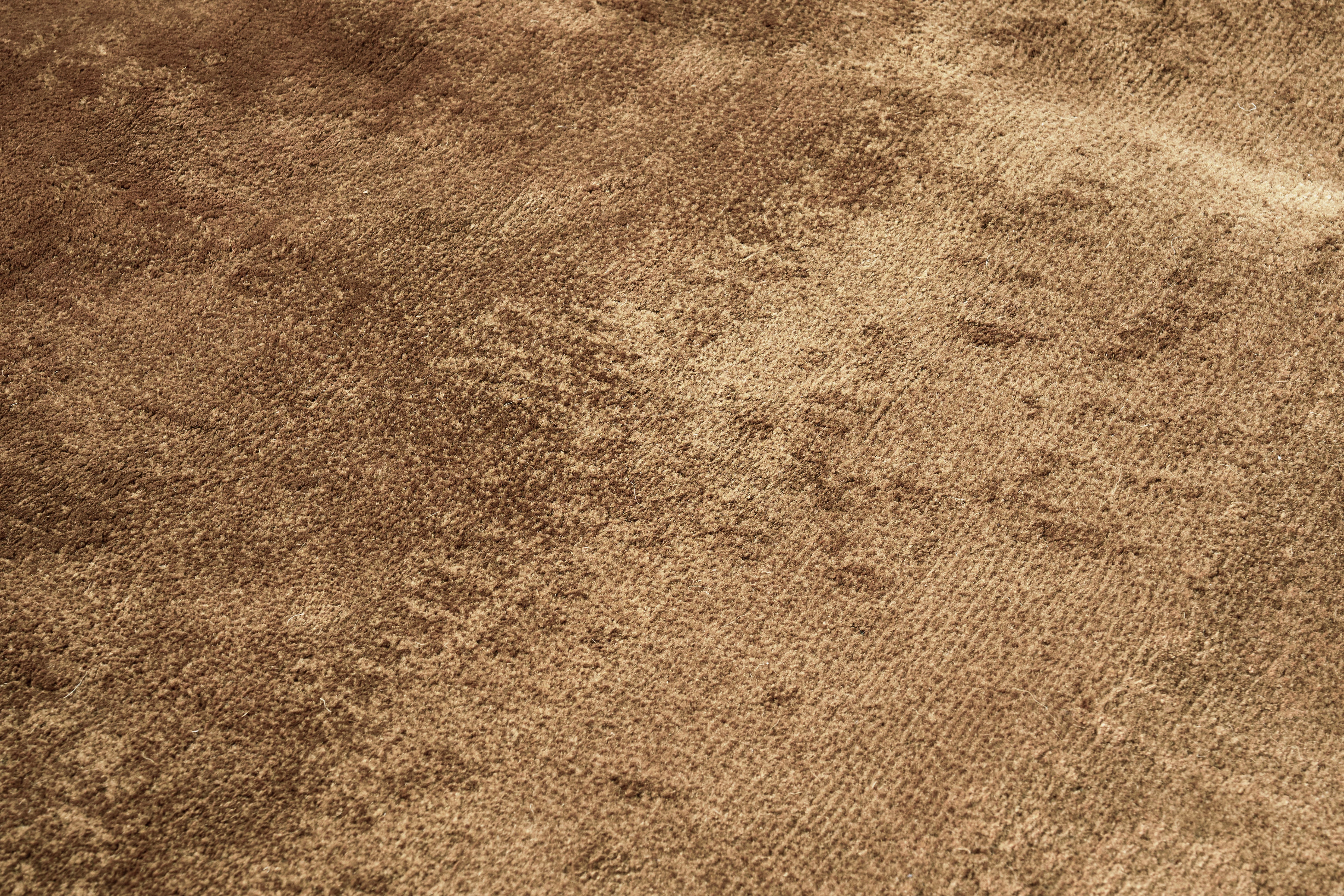 Vanguard Surface Amber Rug